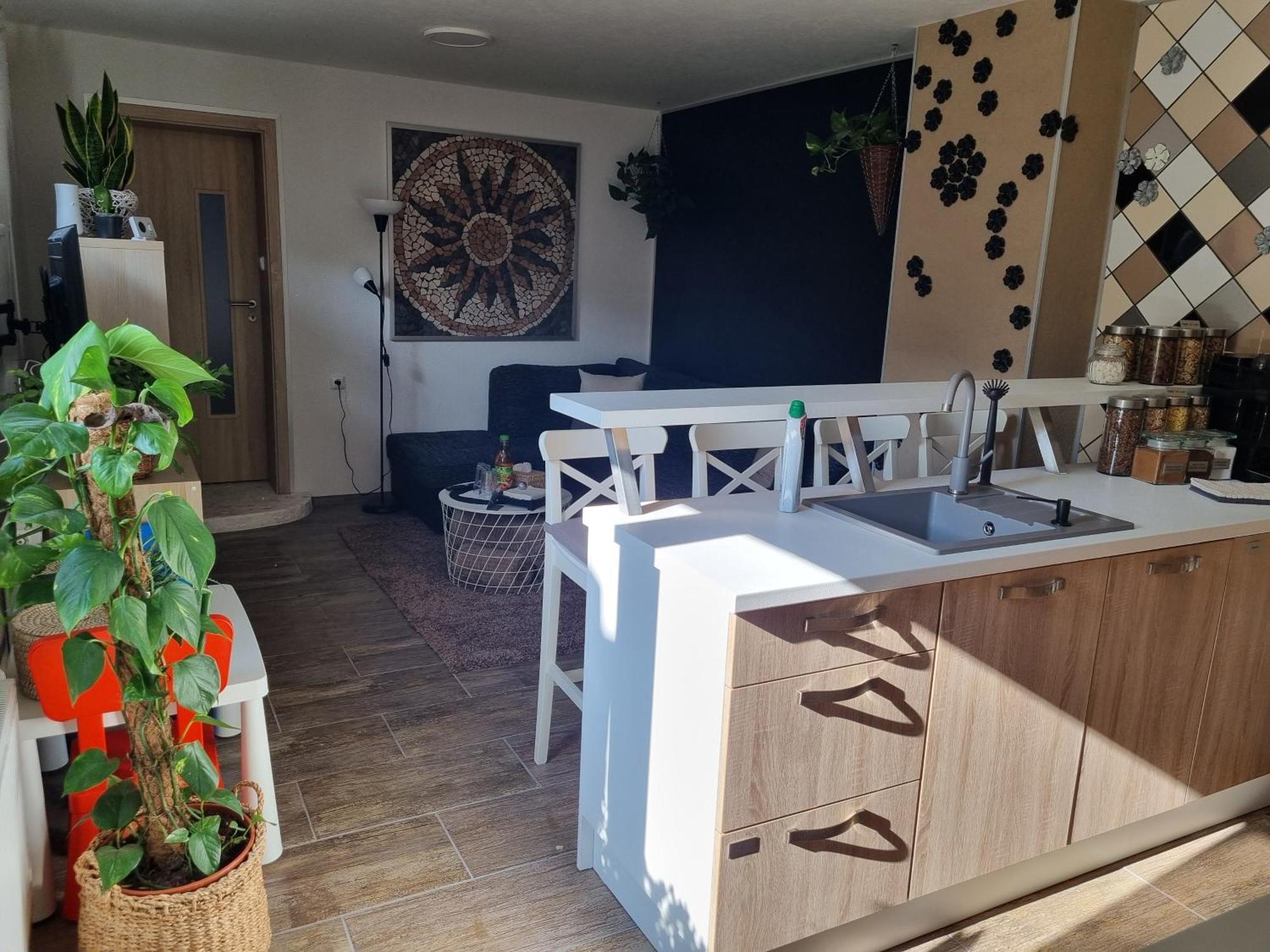 Apartment 235 - 1